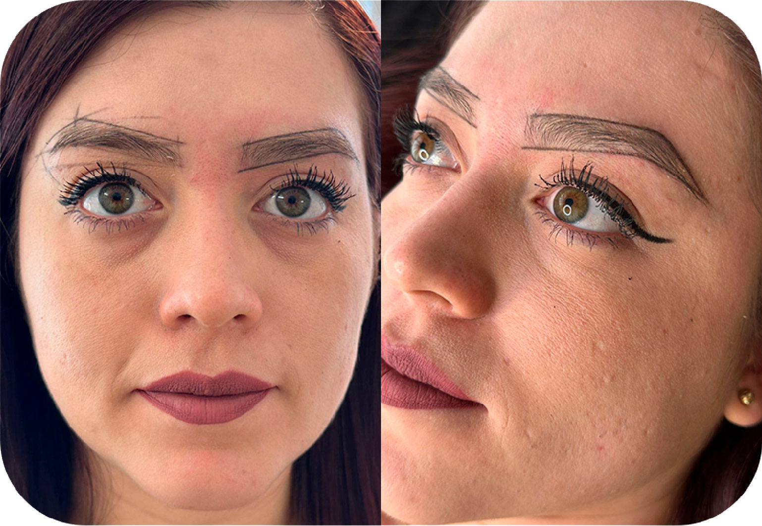 POWDER BROWS